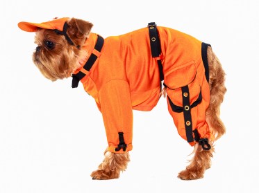 Aramis  suņu apģērbs- elegants trikotāžas kostīms, М