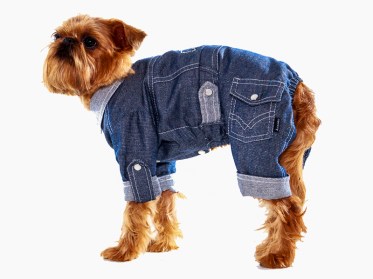 Suņu apģērbs - stilīgs džinsa auduma suņu kostīms ar kabatiņām, М