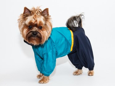 Lietusmētelis,kombinezons sunītim, М