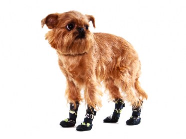 Suņu zābaciņi (iepakojumā 4 gabali)