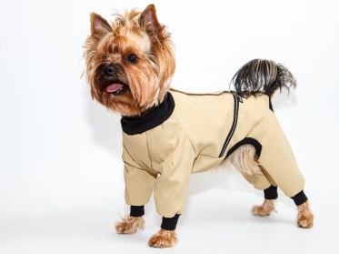 Aramis  suņu apģērbs -  lietusmētelis