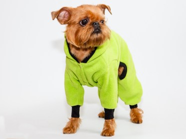 Suņu plīša kombinezons