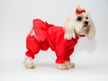 Oriģināls suņu mētelis ar svārkiem lietainam laikam, S