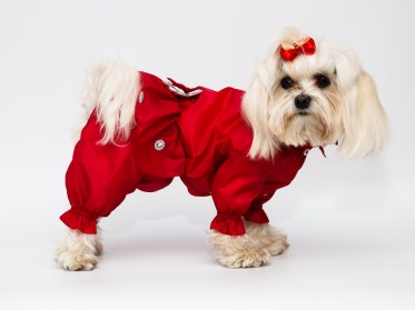 Oriģināls suņu mētelis ar svārkiem lietainam laikam, S