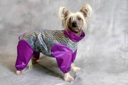 Aramis  suņu apģērbs   lietusmētelis, S