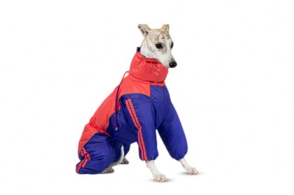 Aramis apģērbs suņiem. Ziemas suņu kombinezons-mētelis ar atstarotājiem, M