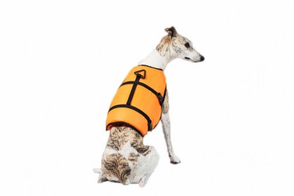 Aksesuārs suņiem. Bandana,apkakle