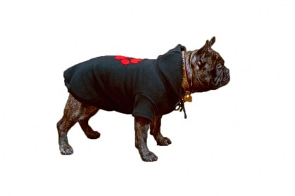 Siltā   baika sunitīm,XL