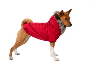 Aramis suņu apģērbs ziemas jaciņa ar kapuci,XL