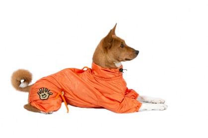 Aramis  suņu apģērbs -  lietusmētelis,kombinezons,L