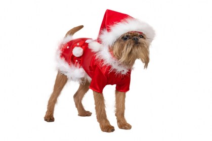 Ziemasssvētku kleitiņa sunītim, S