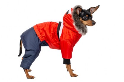 Siltināts suņu ziemas kombinezons ar kapuci,S