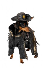 Ekskluzīvas drēbes suņiem. Karnevāla kostīms Kovbojs,M