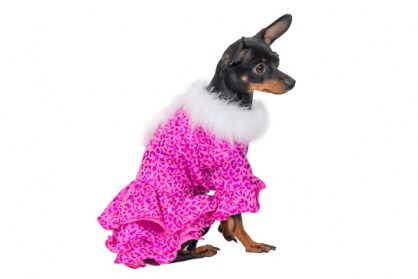 Ziemasssvētku kleitiņa sunītim, S