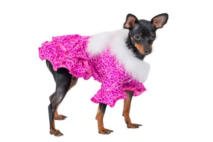 Ziemasssvētku kleitiņa sunītim, S