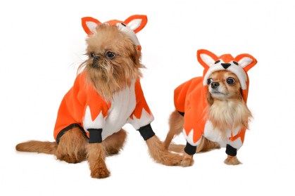 Siltā   baika sunitīm,S