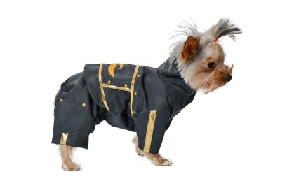Aramis  suņu apģērbs.Ekskluzīvs kombinezons Rokeris,XS