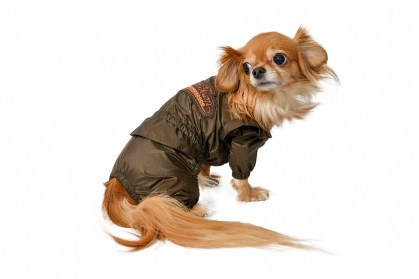 Elegants suņu lietusmētelis