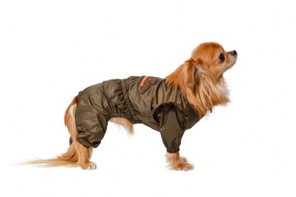 Elegants suņu lietusmētelis