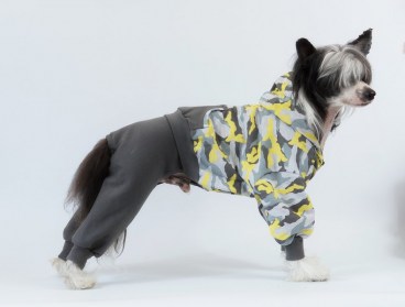 Aramis  suņu apģērbs  -  trikotāžas kostīms, kombinezons