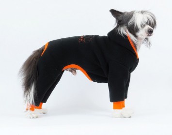 Suņu plīša kombinezons