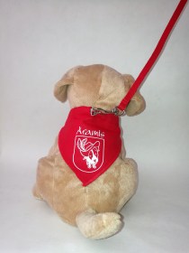 Aksesuārs suņiem. Bandana,apkakle