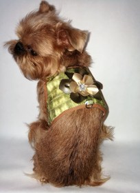 Suņu krūšu siksniņa ar puķi