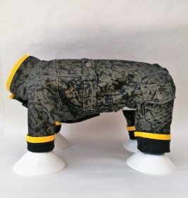 Džinsa suņu kostīms, melns - zelts, XS