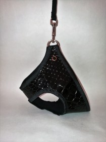 IMG_20170617_1804452