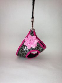 IMG_20170617_1811373