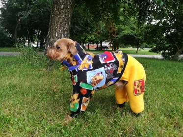 Ziemas suņu apģērbs - silts ērts plīša kombinezons