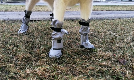 IMG_20180128_2044151