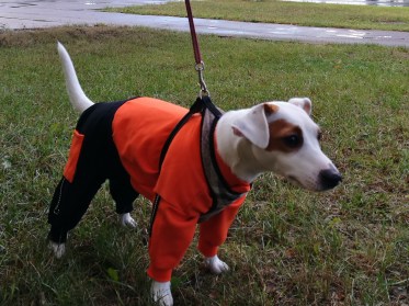 Suņu ūdensnecaurlaidīgs kombinezons