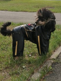  Aramis  suņu apģērbs   kombinezons