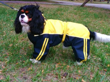 Aramis apģērbs suņiem. Ziemas suņu kombinezons-mētelis ar atstarotājiem, M