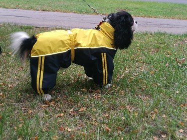 Aramis apģērbs suņiem. Ziemas suņu kombinezons-mētelis ar atstarotājiem, M