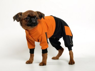 Suņu ūdensnecaurlaidīgs kombinezons