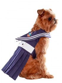 sailor2__1505482574_541